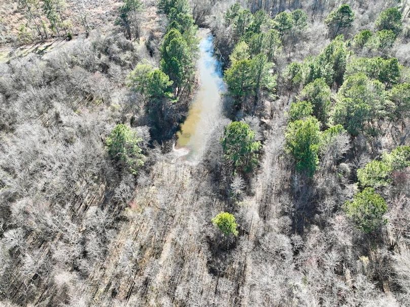 dji_fly_20260115_144128_132_1768507046404_photo