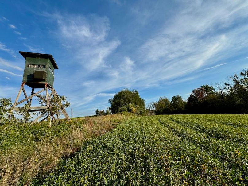 Richland 199Ground - 17