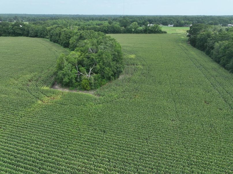 dji_fly_20240620_102428_550_1718899038347_photo