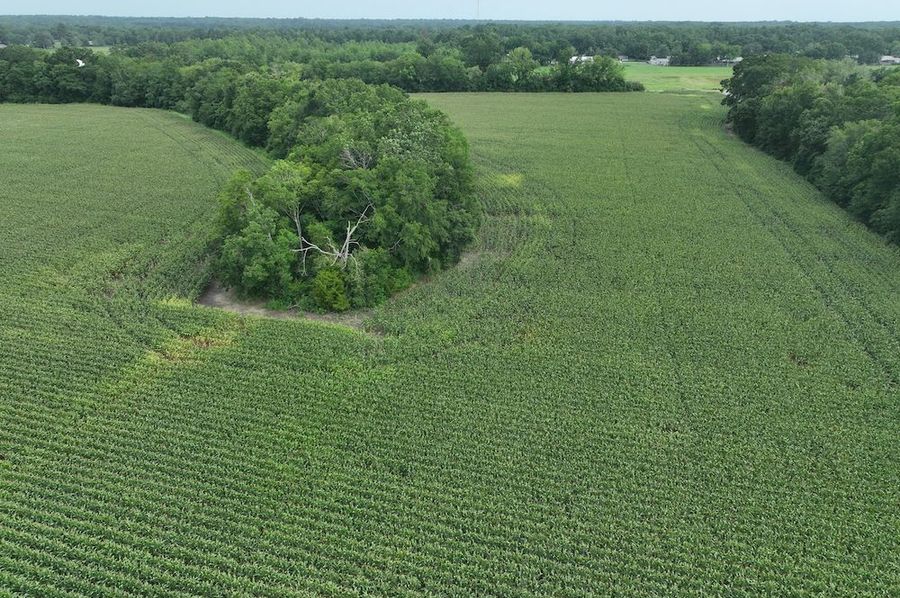 dji_fly_20240620_102428_550_1718899038347_photo