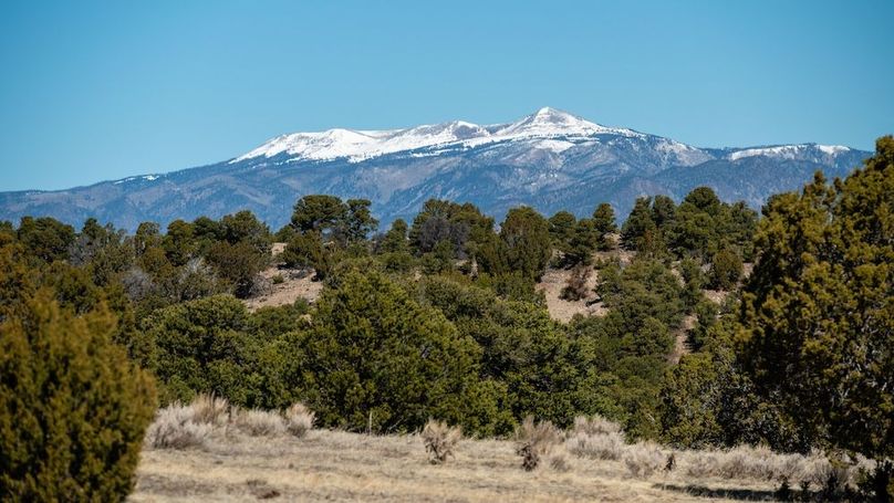 020 - Mountain View