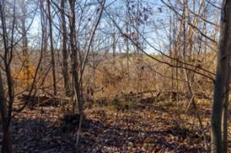 MCKINNON TRACT 29-03