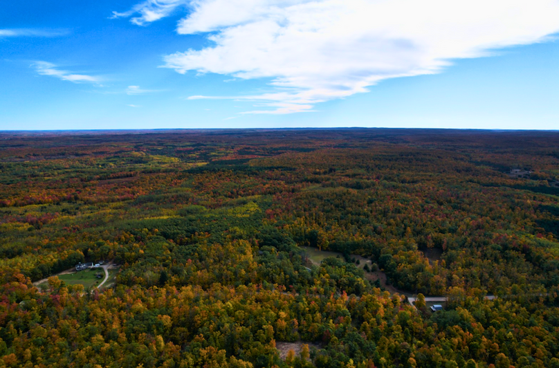 Screenshot 2025-11-11 at 1.08.04 PM