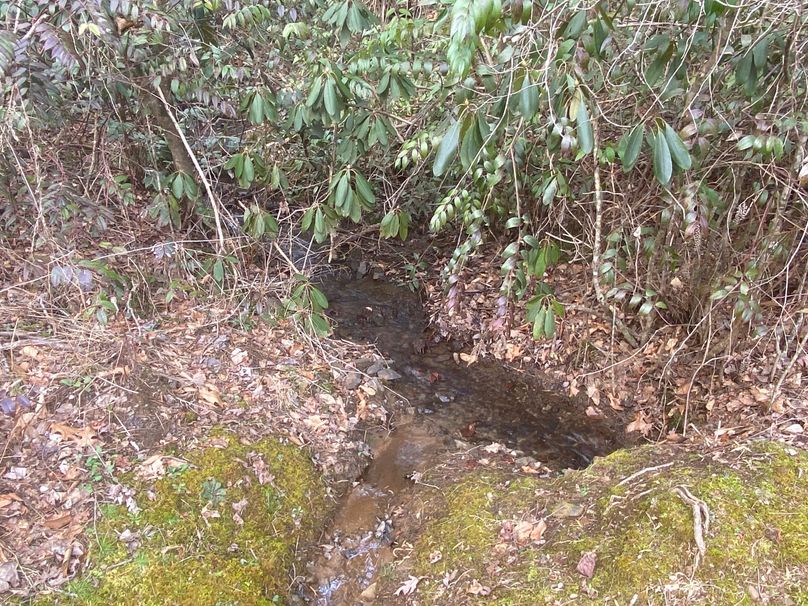 Cherokee 7.47 Herzog-16