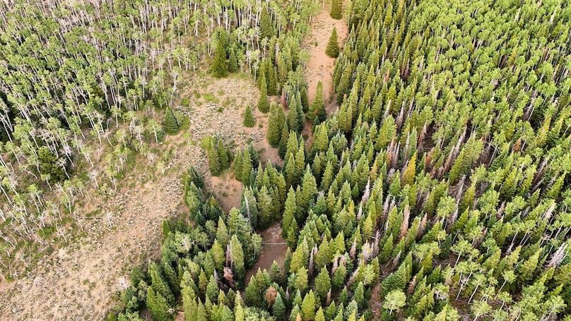 DJI_20250726183730_0209_D