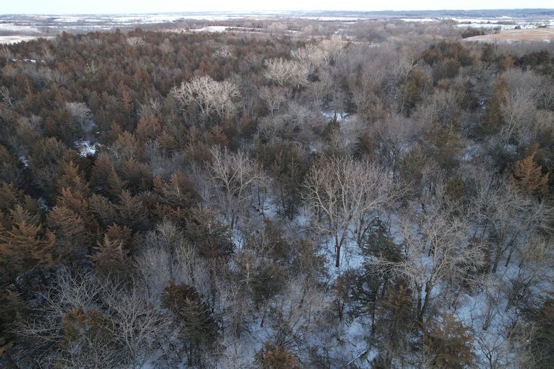 DJI_0563