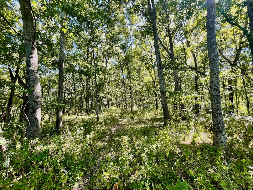 Crawford 109.97 - 66 of 88