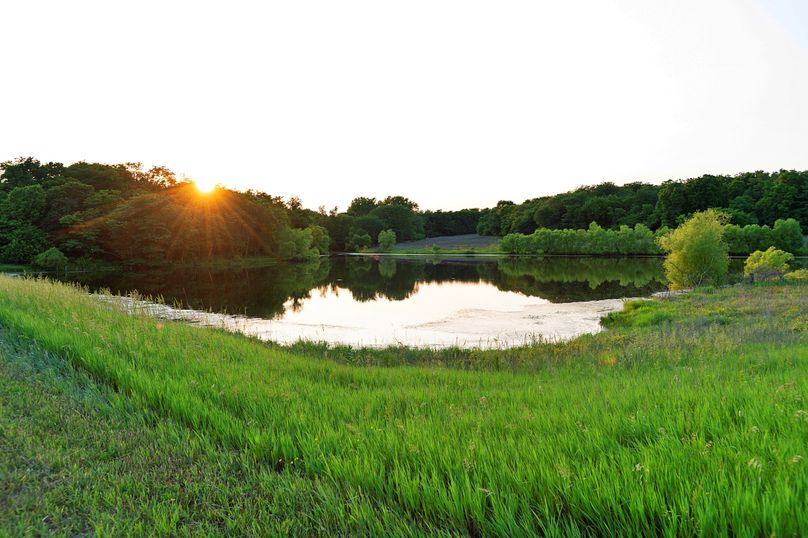 Harrison MO 480 Pro Photo_177 (22)