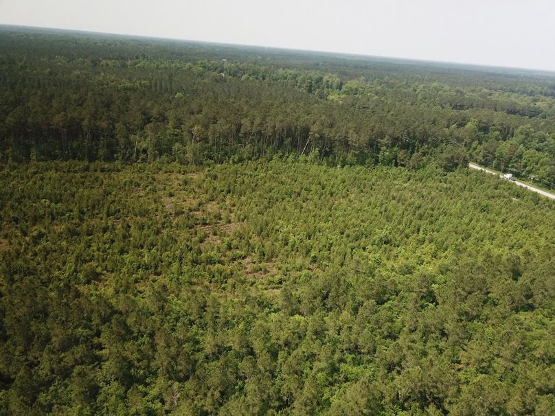 DJI_0013