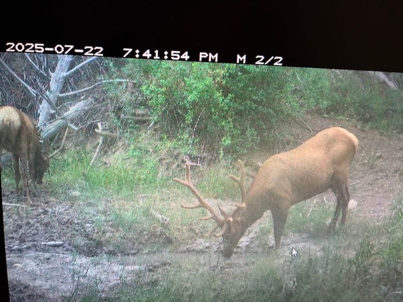 42D7B697-EBBC-49C6-ABAB-EB310C04337B