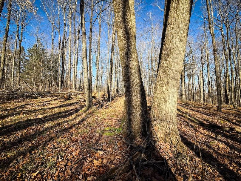 Chemung_31.75_Seymour_North_Photos_20