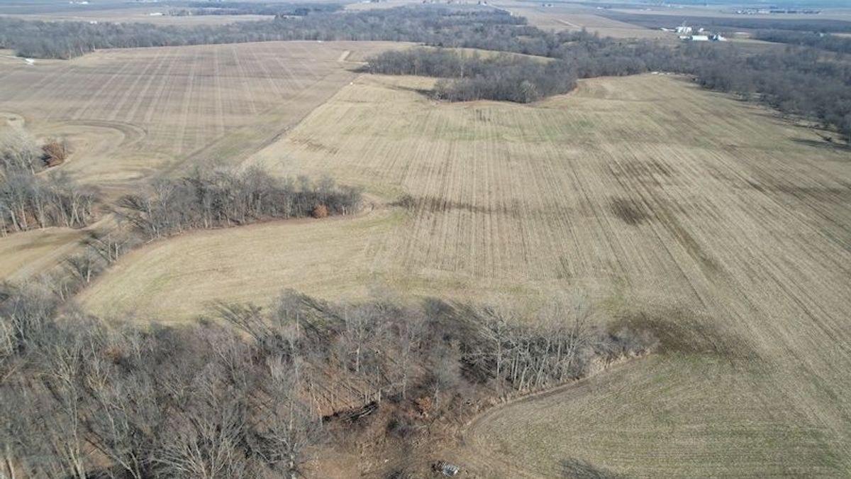 Mostly Tillable Knox County Farm With Secluded Building Site