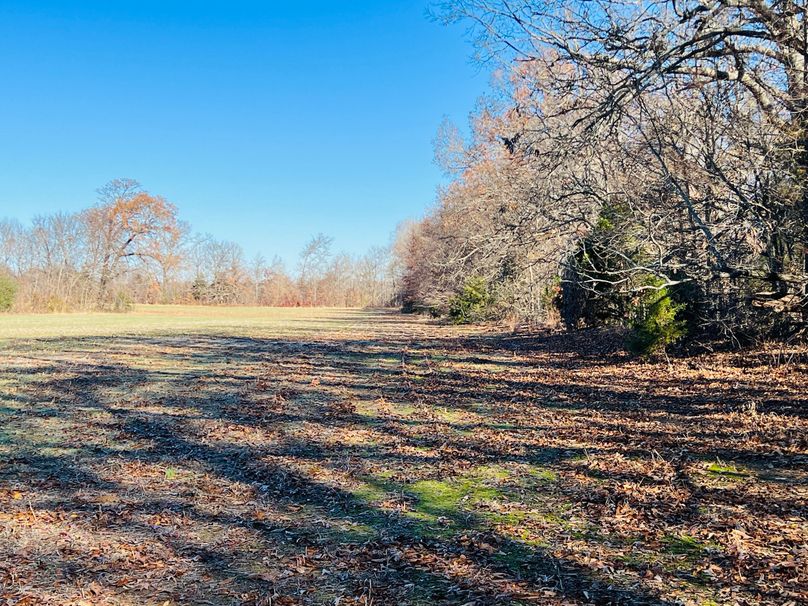 Expansive Estate With Prime Agriculture Outside