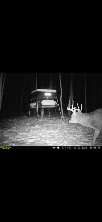 Screenshot 2026-02-09 at 3.20.14 PM