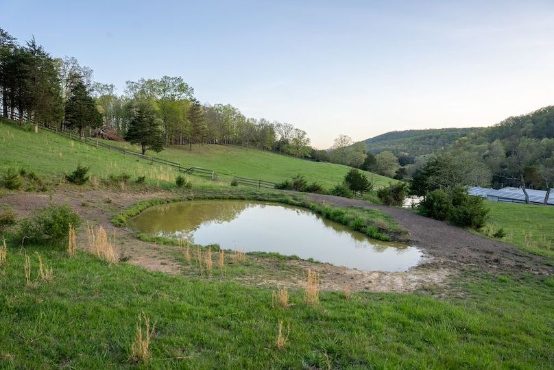 Hampshire WV 106 Featured_Pro Photo-63