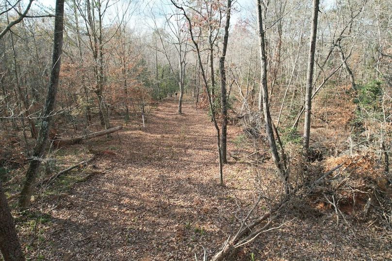 dji_fly_20251120_031510_963_1763685552794_photo