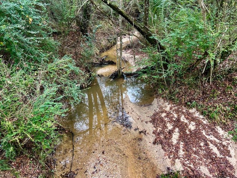 60051C59-0E30-4AA9-A55C-8679D62F0A91_1_201_a