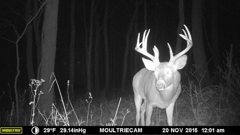 Deer Cam Tracker Pic. 657