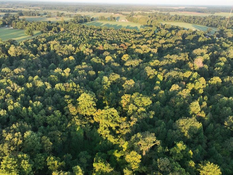 dji_fly_20250909_072624_193_1757426906245_photo