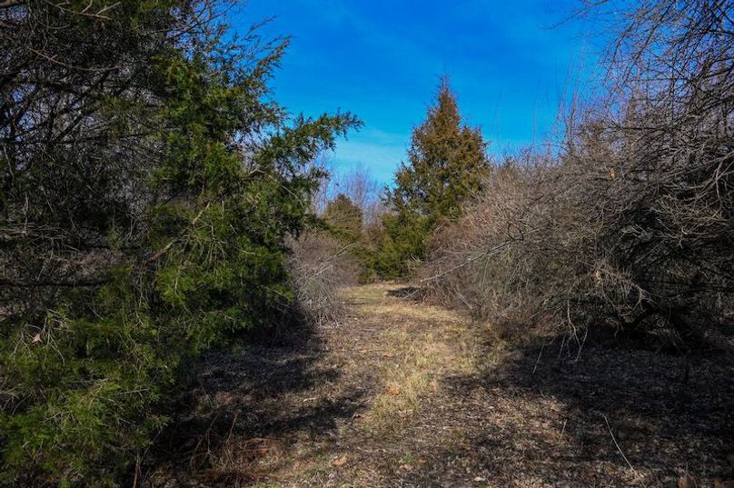 vandalia 450 (2)-1685