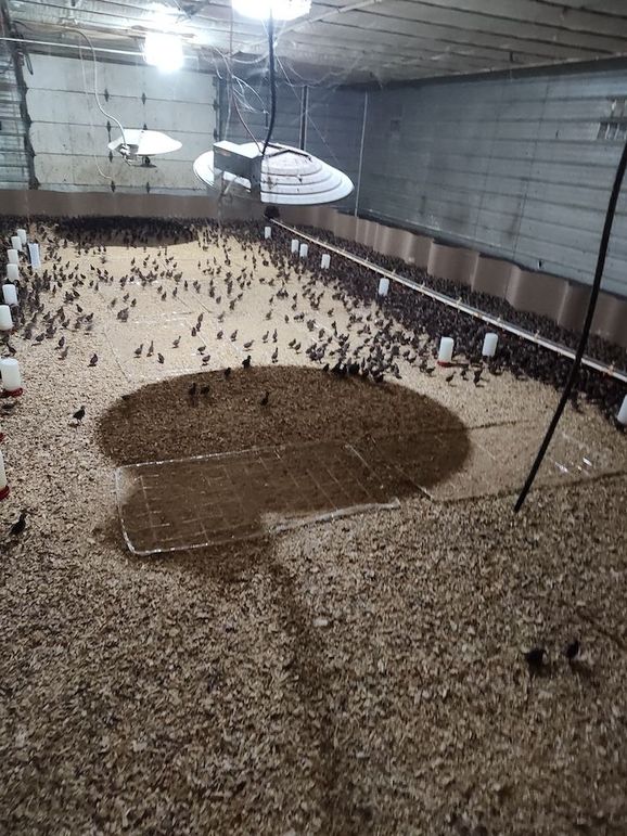 IMG_20250719_100811091