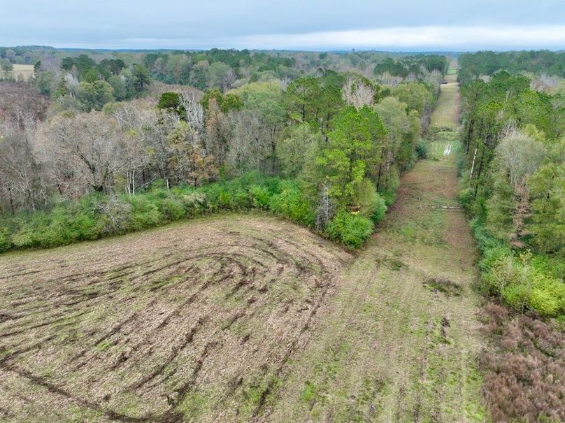 15432DB5-4410-4A5B-8CD2-FF199A5B08C4_1_201_a-2