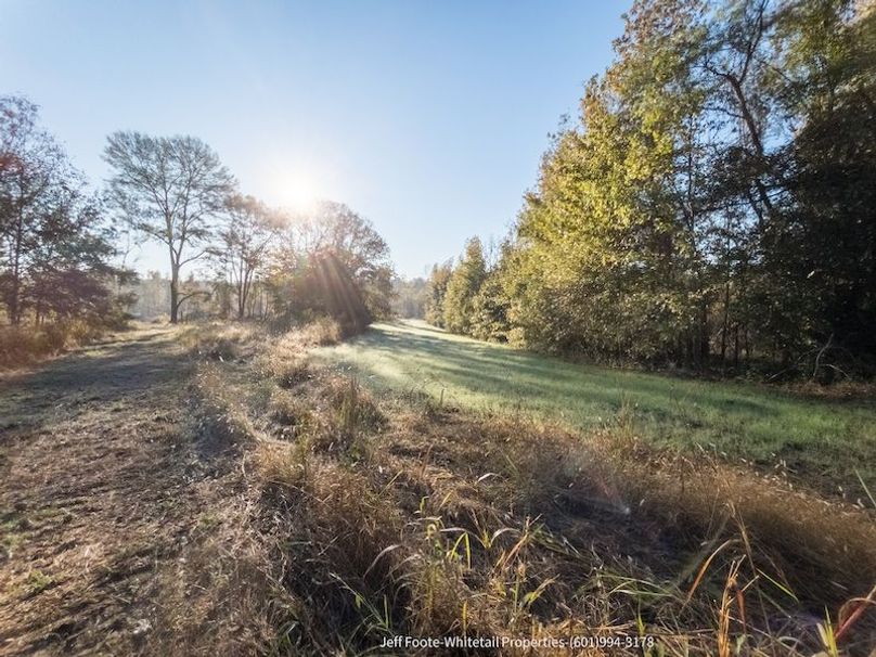 Claiborne Co-151-Geronimo-30