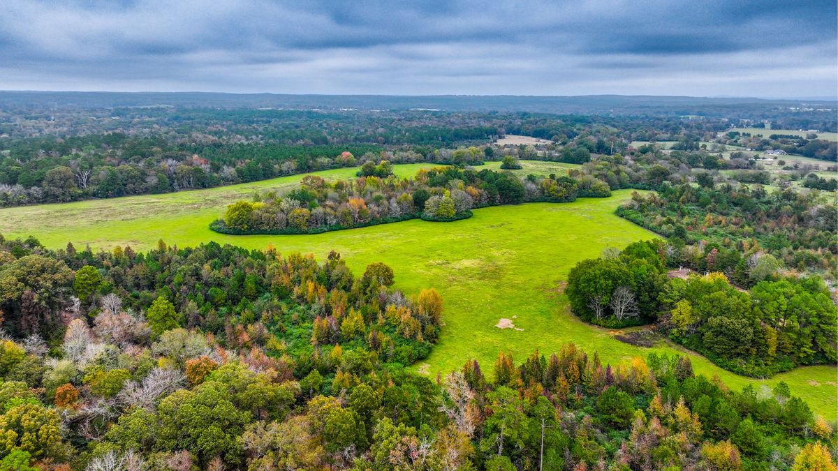 Diverse Acreage Tract Close To Lake Naconiche Whitetail Properties