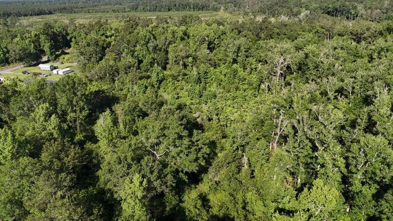 dji_fly_20260512_091852_0181_1778611355983_photo