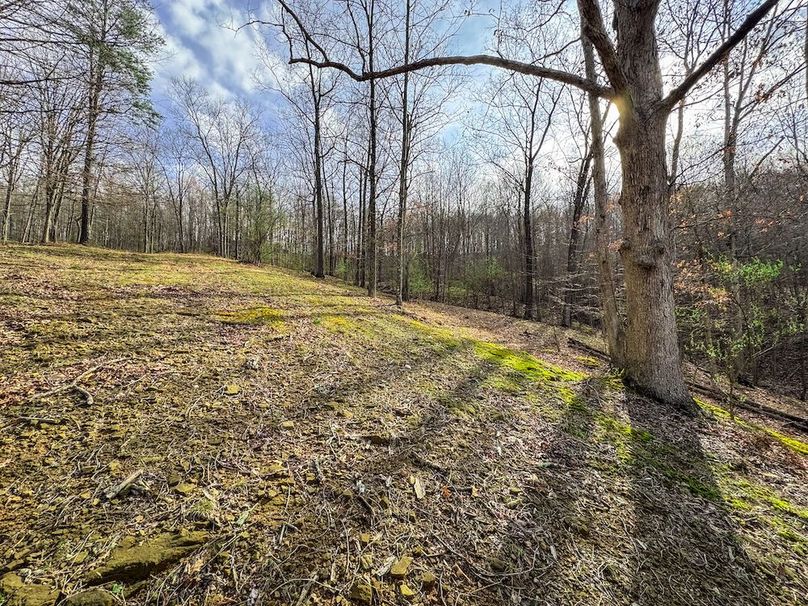 Ritchie, WV 206.08 AC Curriden-21