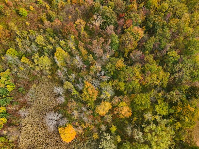 Wayne_29.09_BD_LandParcel_9