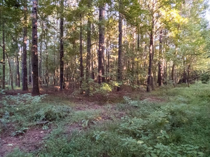 Hinds Co - 78 - Newman-22