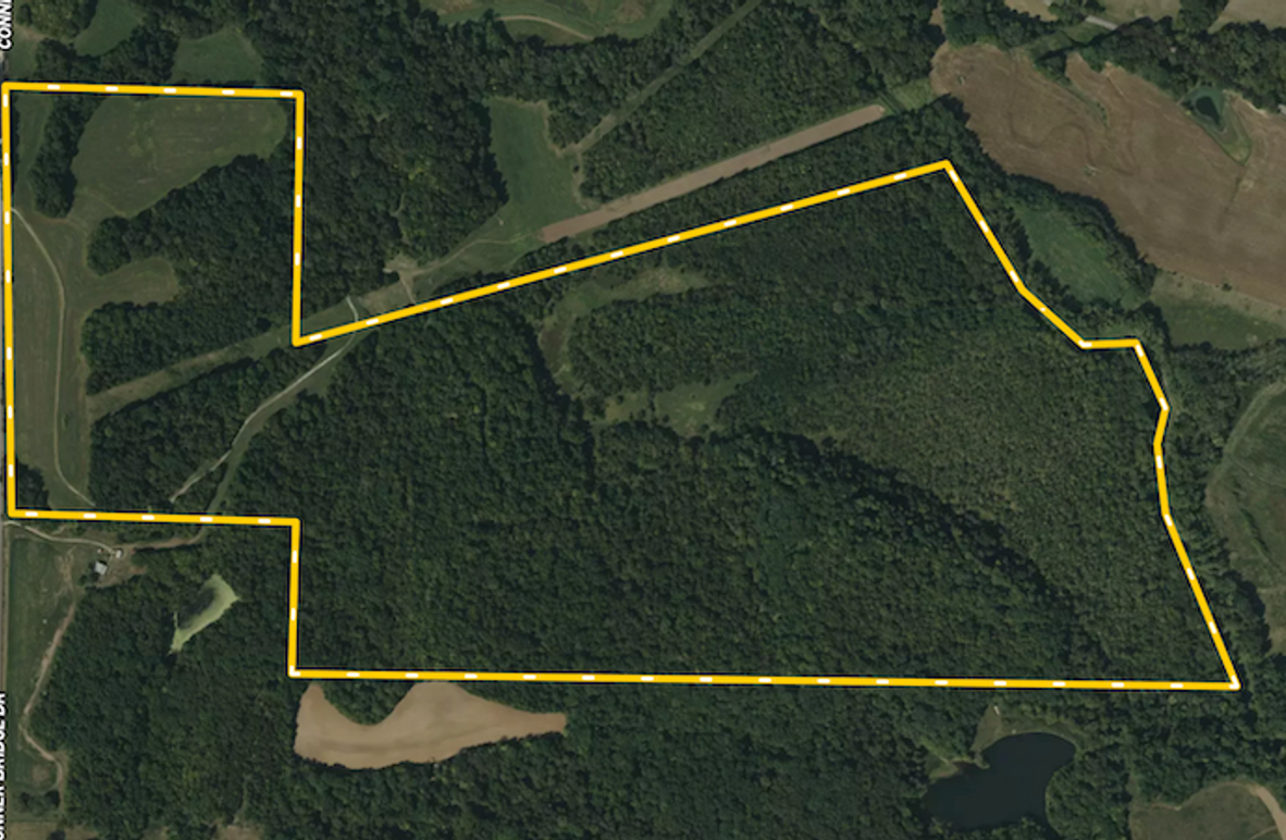 Cooper 229 Close Up 11-18-25