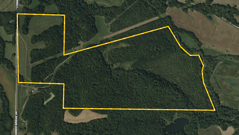 Cooper 229 Close Up 11-18-25