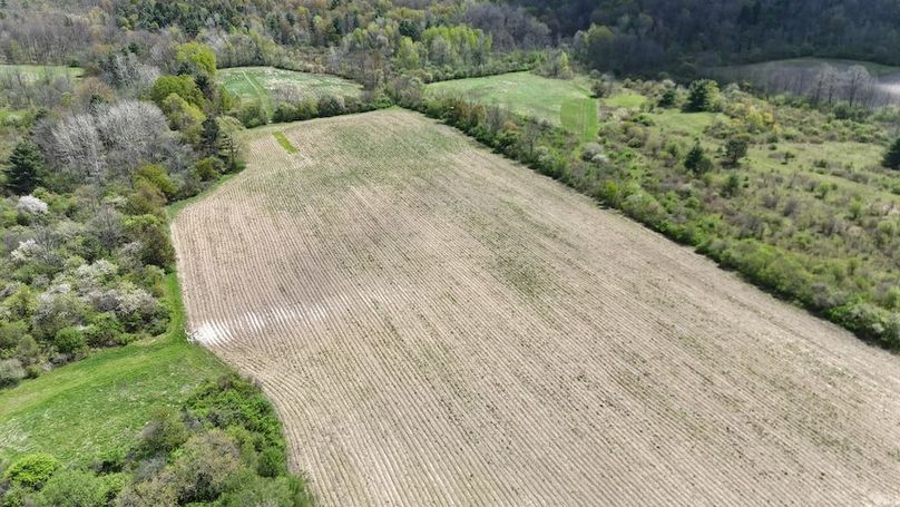 10 DJI_20260509005046_0029_D
