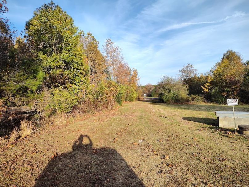 IMG_20251105_155256544