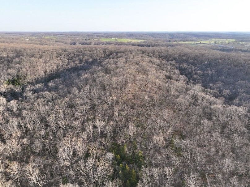 dji_fly_20260330_080310_541_1774915825587_photo