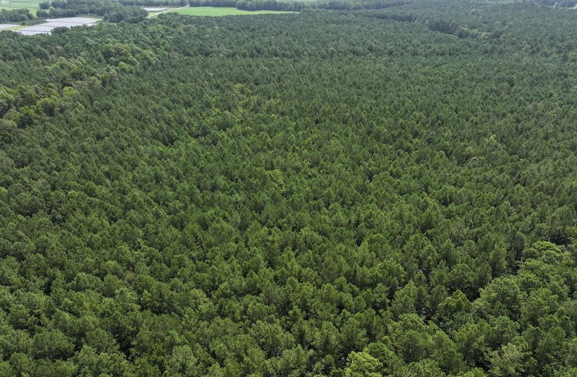 DJI_20240730114501_0015_D