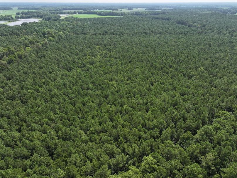 DJI_20240730114501_0015_D