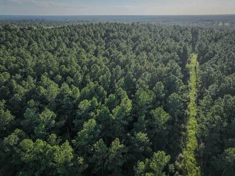 Copy of DJI_20240704190423_0024_D