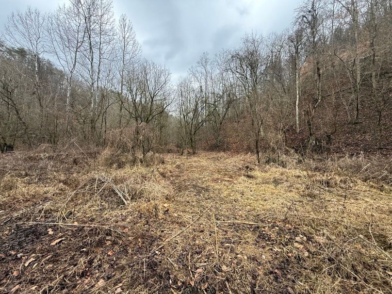 024 another photo of the stream valley in the north area of the property
