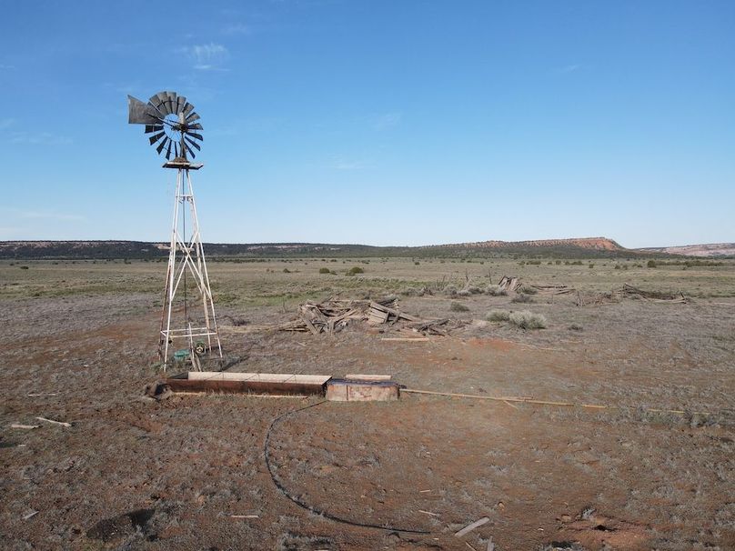 dji_fly_20240504_074502_325_1714830367270_photo