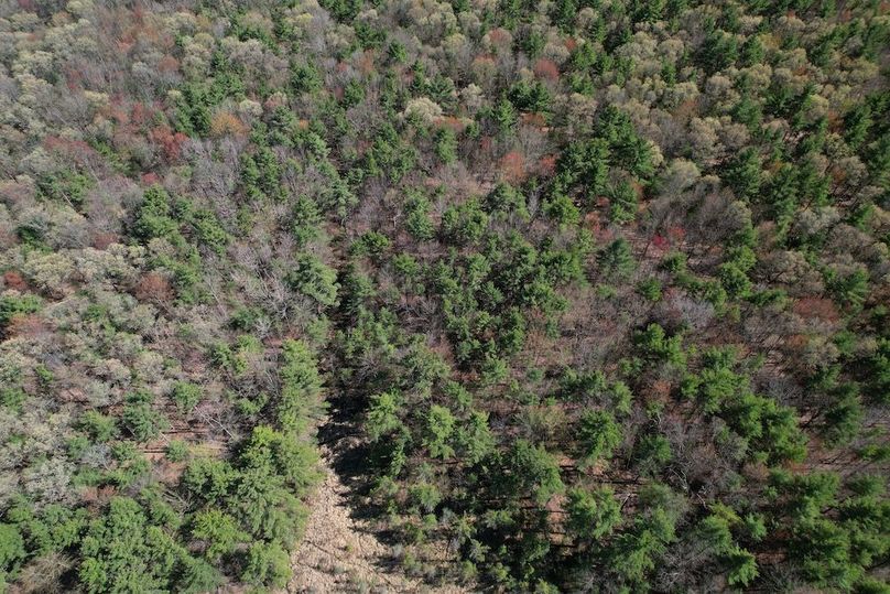 DJI_0084