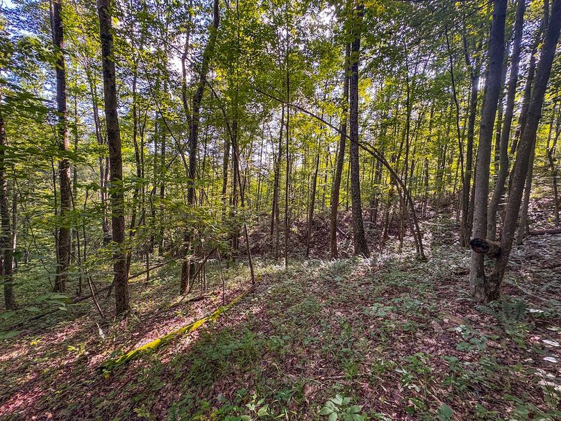 Lewis, WV 82.87 AC Barger-106