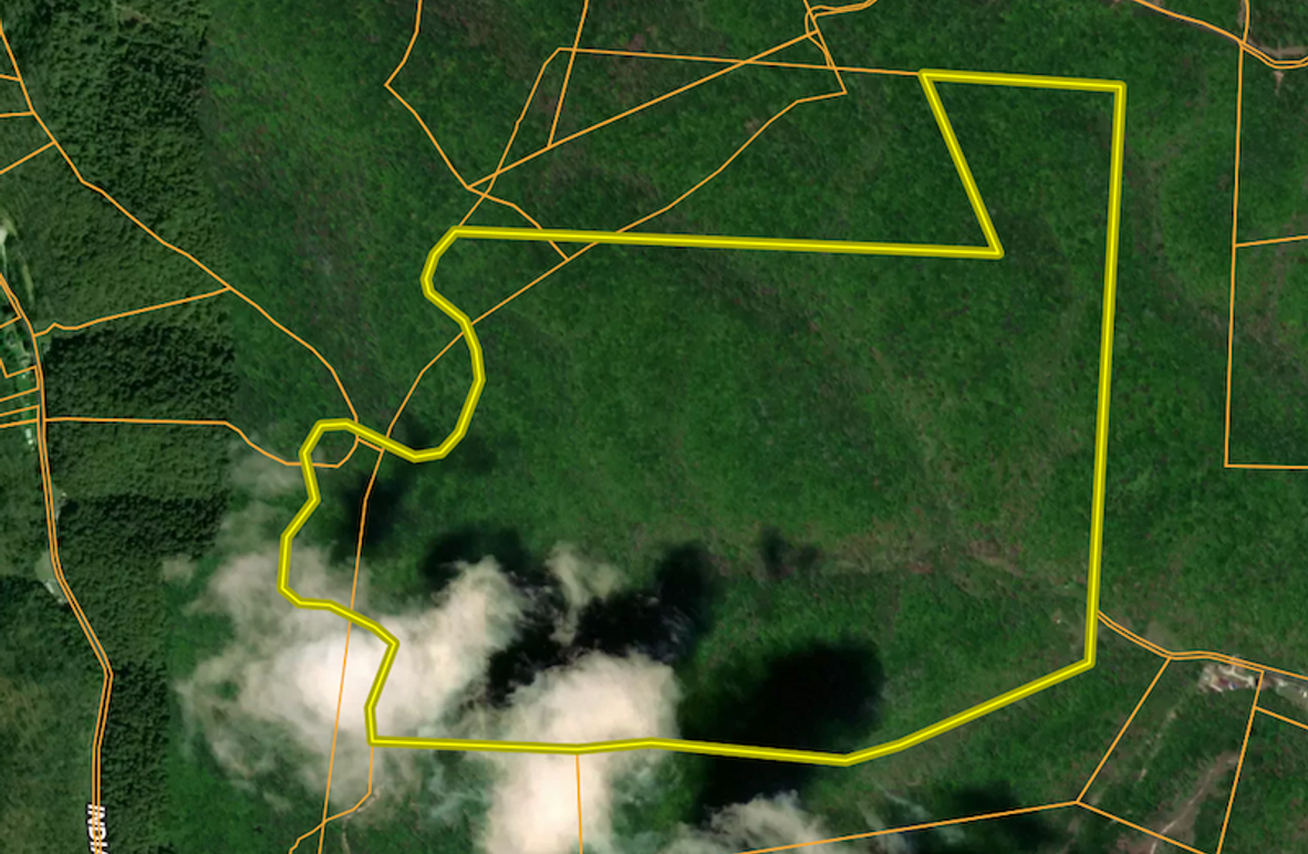 Screenshot 2026-03-03 at 2.11.06 PM