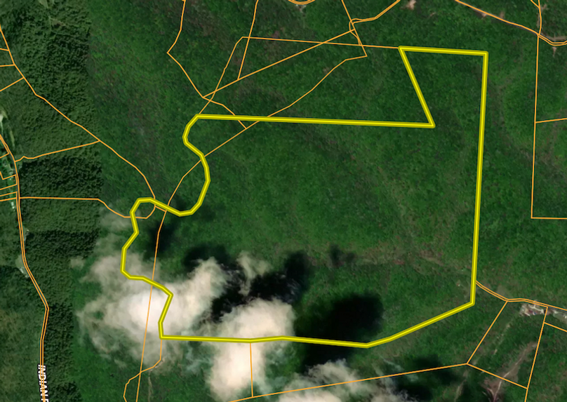 Screenshot 2026-03-03 at 2.11.06 PM