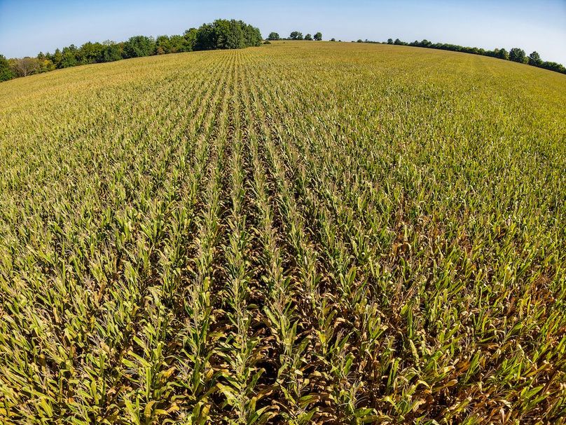 DJI_20250906100146_0060_D