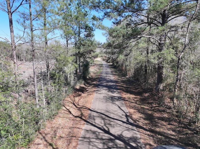 dji_fly_20260302_130024_0327_1772559705342_photo