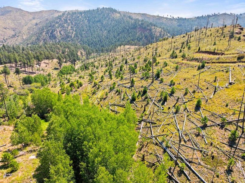 DJI_20250813111152_0010_D_1