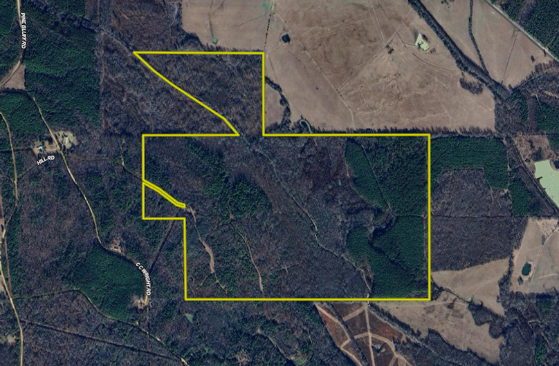 Screenshot 2025-09-17 at 12.09.07 PM